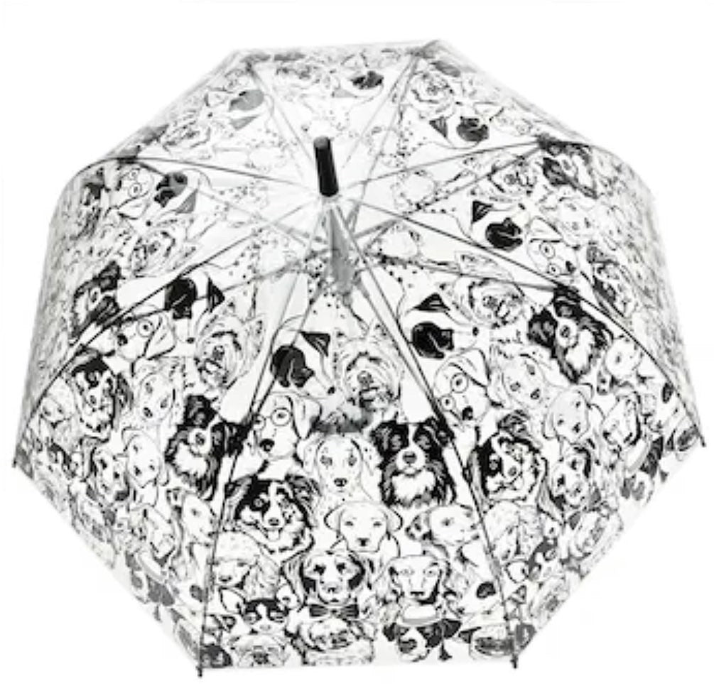 Umbrella from Blooms of London 💥SALE