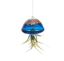 Load image into Gallery viewer, Glassware hanging Jellyfish air plant inc
